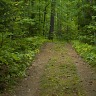 The Road To The Cottage